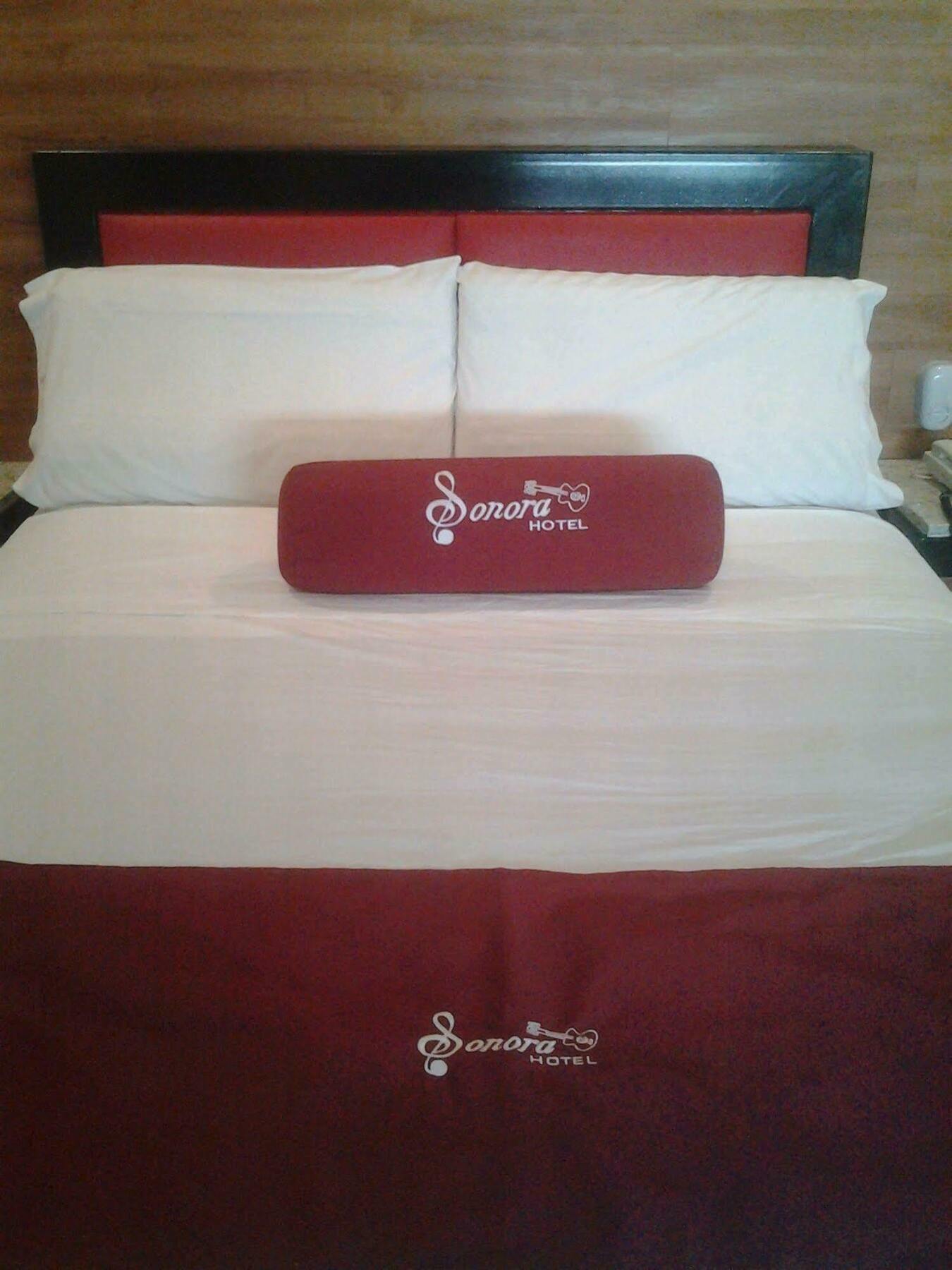 Hotel Sonora, Centro Historico Meksika Dış mekan fotoğraf